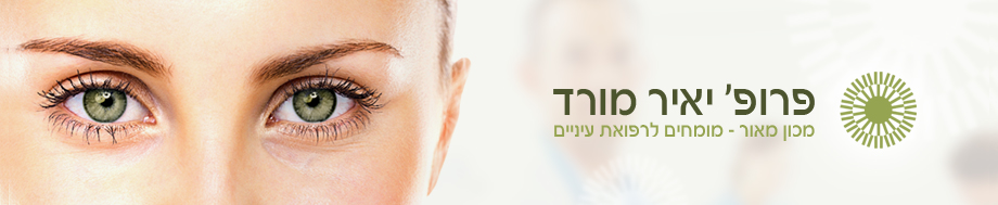 דף הבית